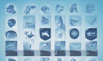 Lesson 6 Evidences of Evolution - Free Online Course | EducationShop